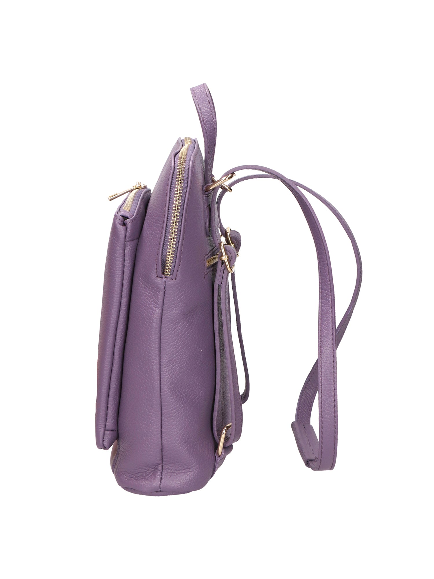 06514-D87 VIOLET Gave Lux