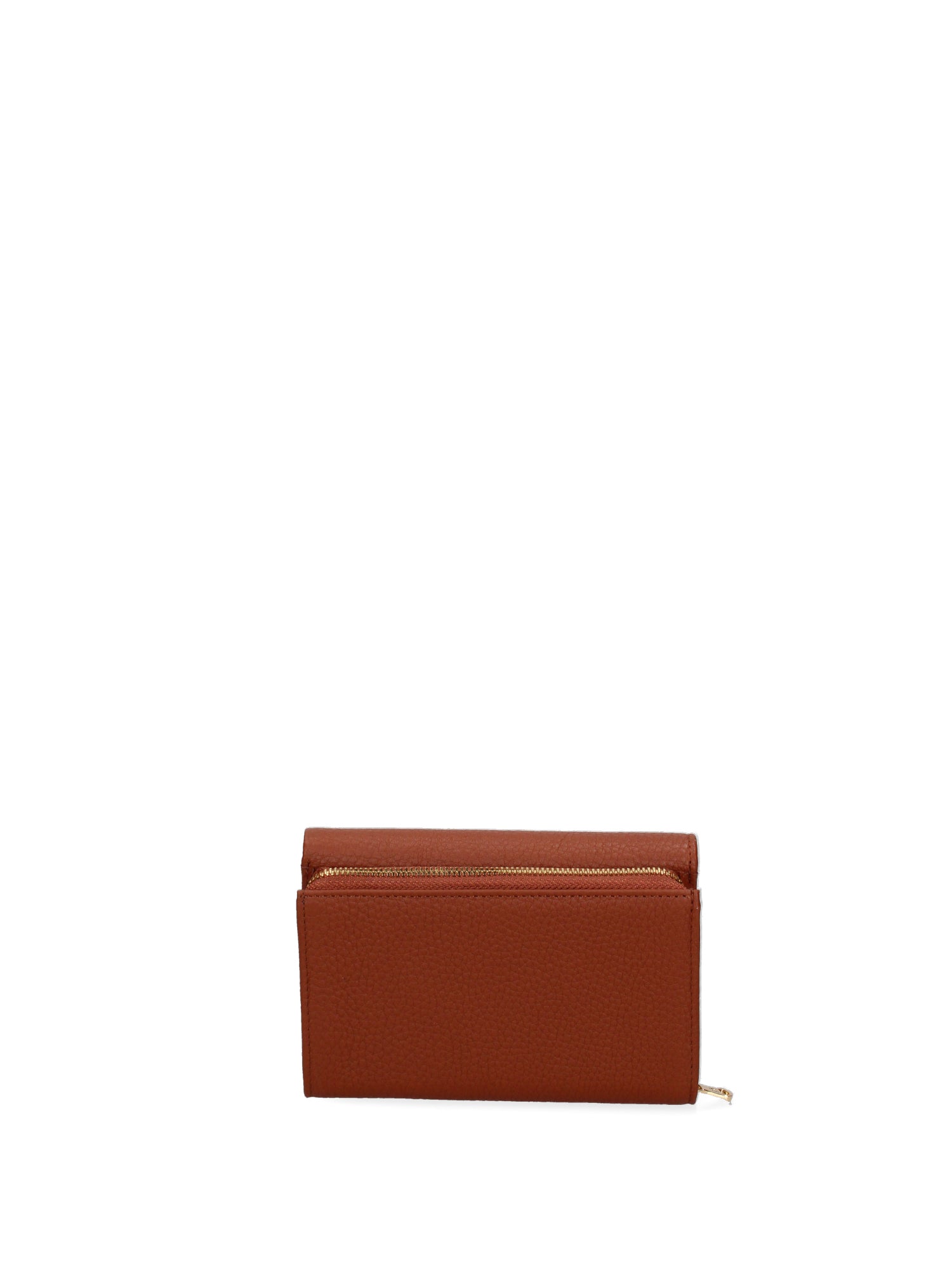Edera Ultra B16702CO-MARRONE Portafoglio donna in vera pelle Braccialini