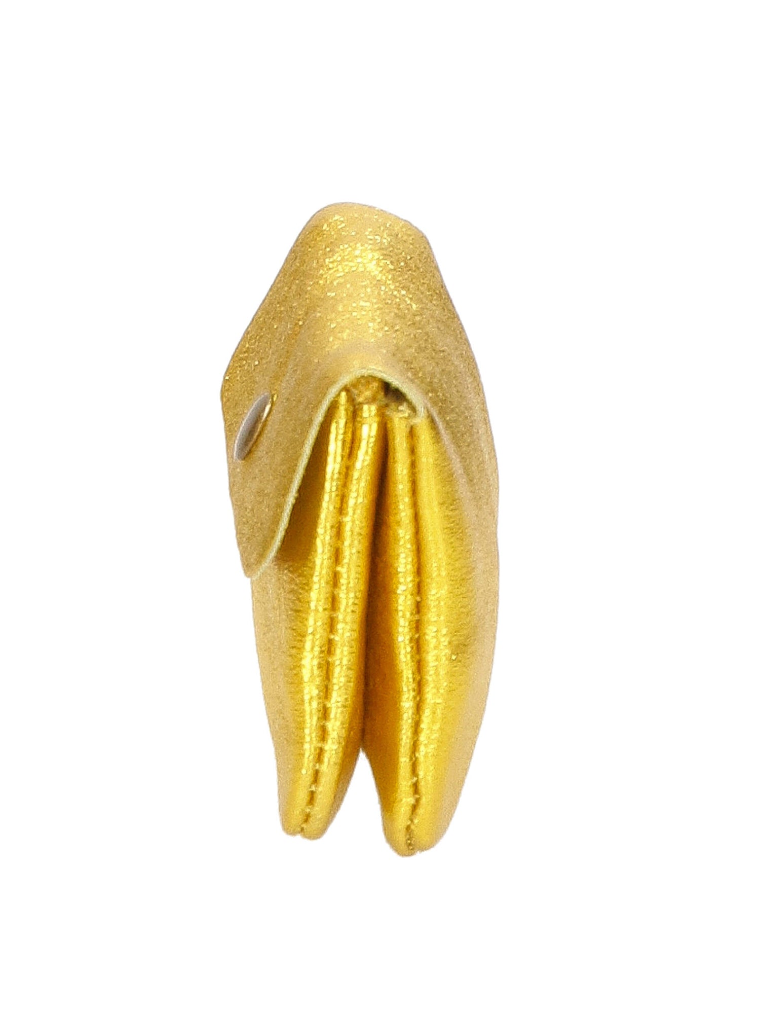 Agata 04541-L516 GIALLO Portafoglio donna in vera pelle Gave Lux