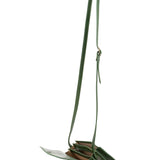 Damen-Umhängetasche aus echtem Leder, hergestellt in Italien, 19 x 13 x 9,5 cm
