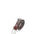 Cintura in Tessuto Taupe Scuro Navigare