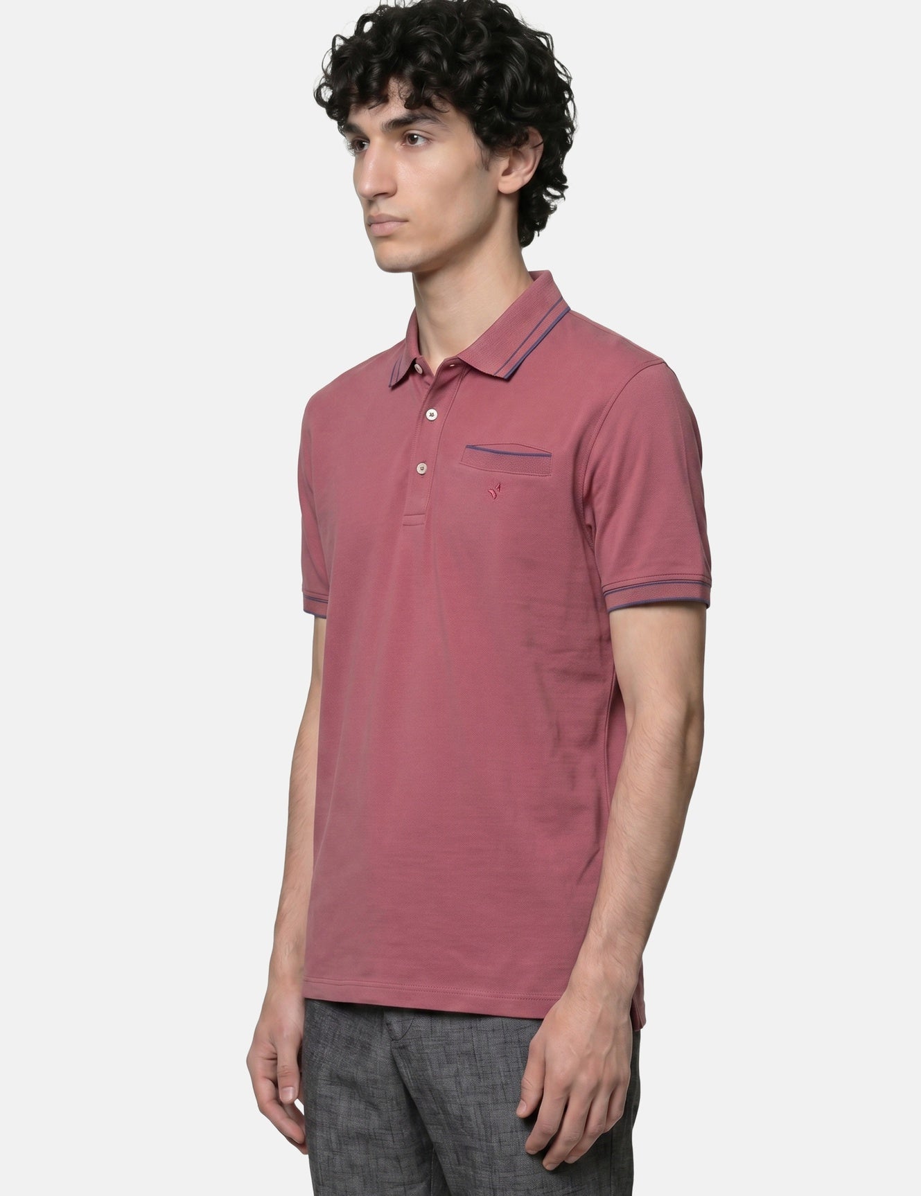 Camicia in Cotone Bordeaux