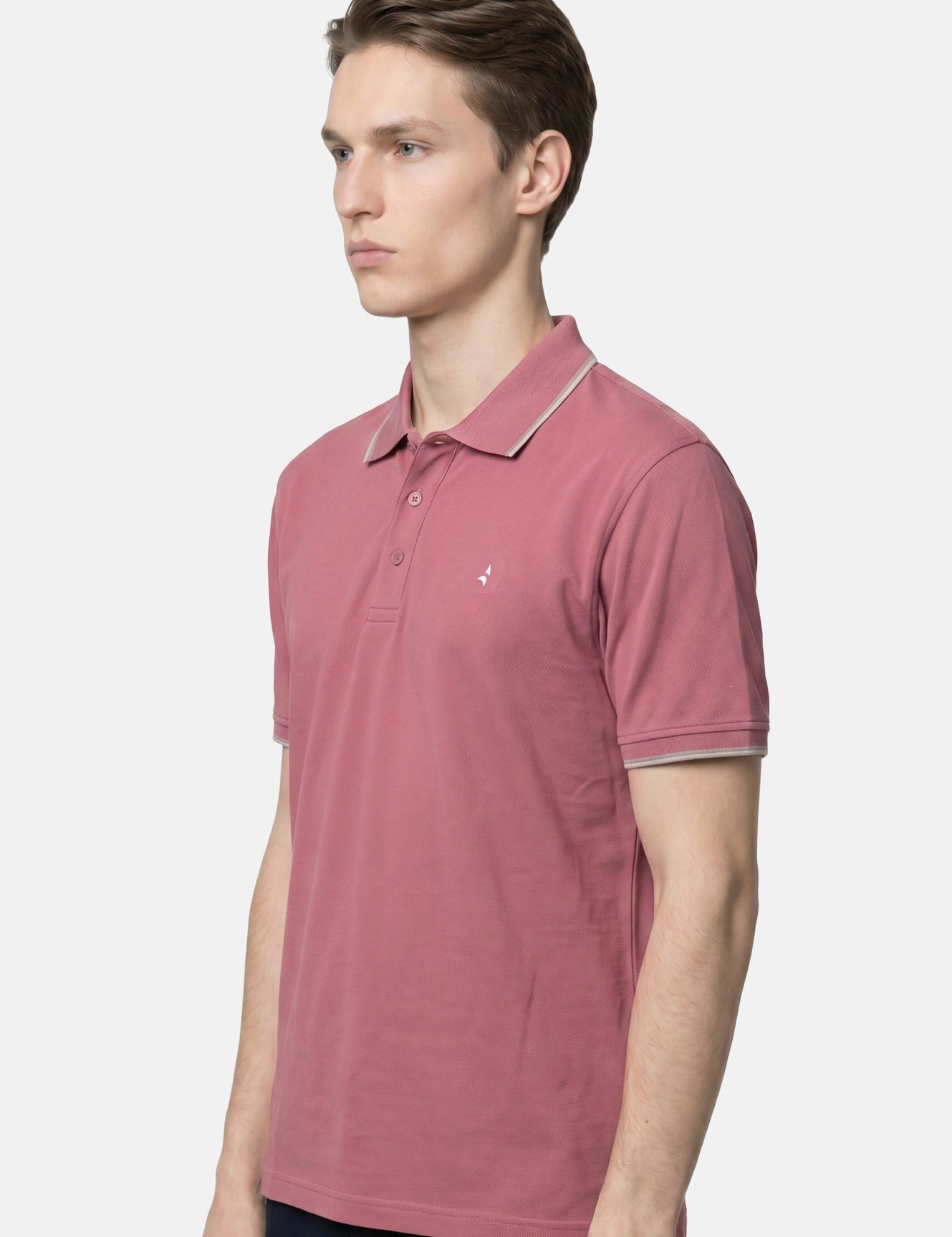 Camicia in Cotone Bordeaux