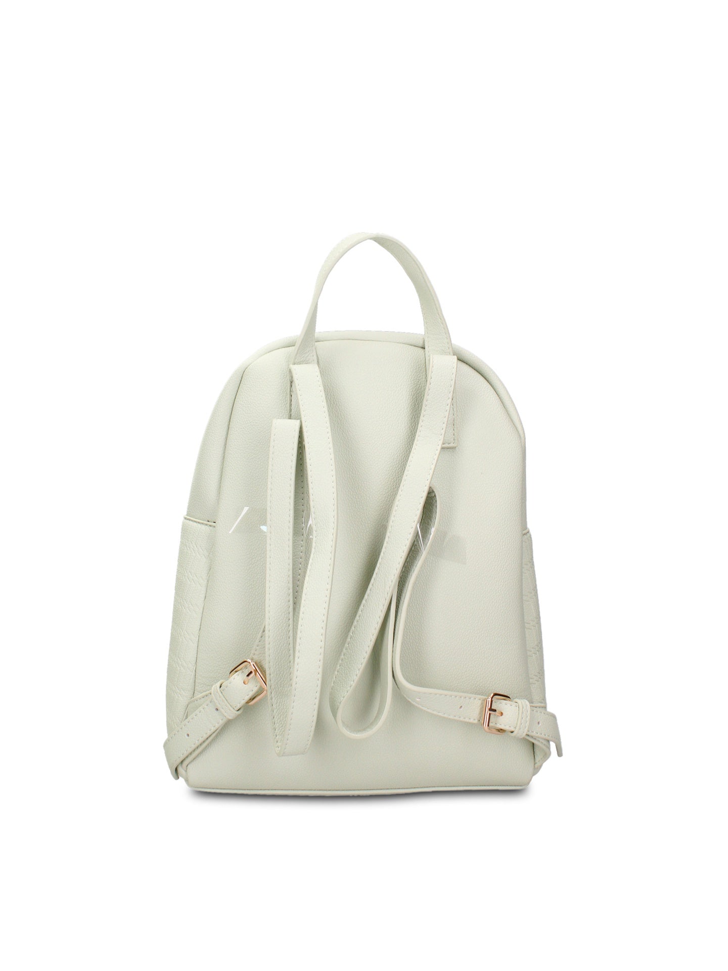 Immagine diapositiva