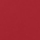 Red Ruga Leather Handbag