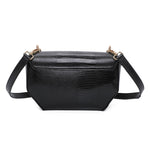 Diabild