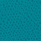 Borsa a Tracolla in Pelle Petrolio